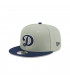 Gorra Los Angeles Dodgers MLB 9Fifty Green Pastel