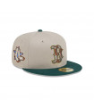 Gorra 59Fifty Boston Red Sox Tree Bark Fill Grey MLB