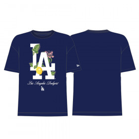 MLB Los Angeles Dodgers Inj Q2 Spring